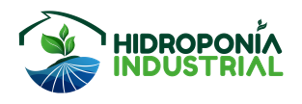 LogoWebsite